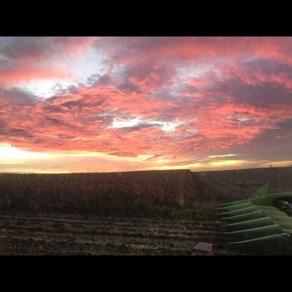 Meet your Posher, Abbie